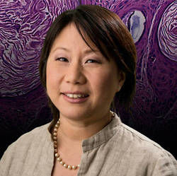 Jean Tang, MD, PhD