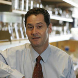 David Rowitch, MD, PhD