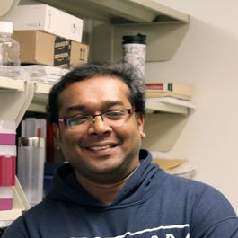 Vinesh Vinayachandran, PhD