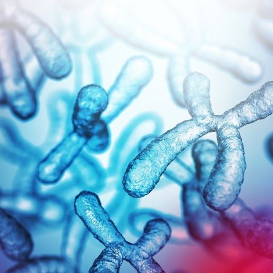 Oxford-Harrington Rare Disease Centre Announces  2025 Scholars Advancing Promising Treatments