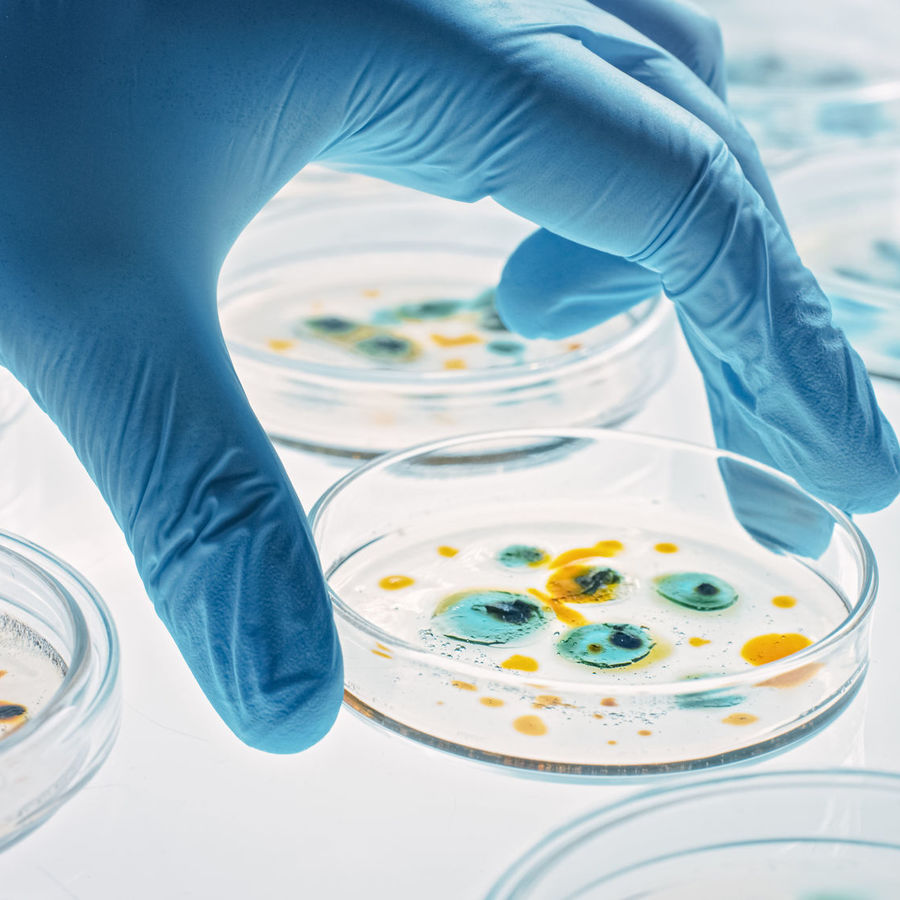 Harrington Discovery Institute at University Hospitals and Case Western Reserve School of Medicine Open Call for 2026 Harrington-MSTP Scholar Award