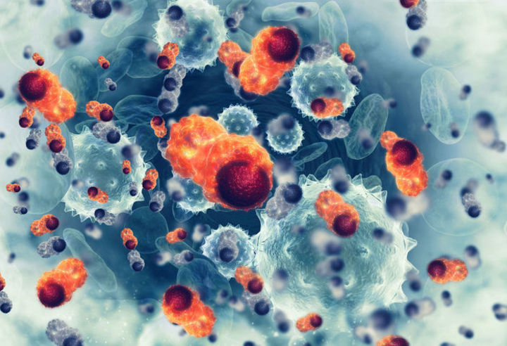 Harringtoncancercellsinblueandorange
