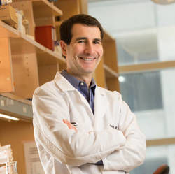 David Wald, MD, PhD