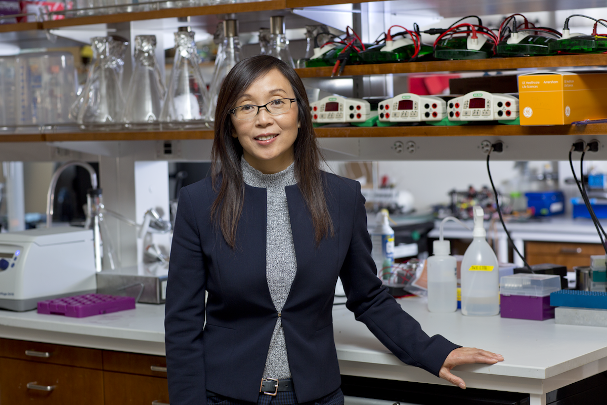 Li Gan, PhD