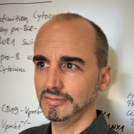Markus Müschen, MD, PhD