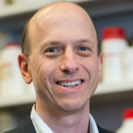 Steven  Marx, MD