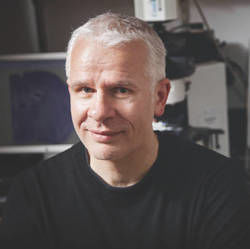 Wolfgang Liedtke, MD, PhD